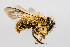  ( - SBCTA2023APR3e)  @11 [ ] by-nc-nd (2024) Elijah Goodwin Stone Barns Center