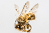  ( - SBCTA2023APR3e)  @11 [ ] by-nc-nd (2024) Elijah Goodwin Stone Barns Center