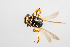  ( - SBCTA2023MAY22c)  @11 [ ] by-nc-nd (2024) Elijah Goodwin Stone Barns Center