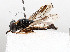  ( - BIOUG72935-H08)  @11 [ ] CreativeCommons - Attribution (2021) CBG Photography Group Centre for Biodiversity Genomics
