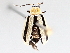 ( - BIOUG72938-G02)  @11 [ ] CreativeCommons - Attribution (2021) CBG Photography Group Centre for Biodiversity Genomics