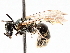  ( - BIOUG72958-E02)  @11 [ ] CreativeCommons - Attribution (2021) CBG Photography Group Centre for Biodiversity Genomics