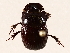  ( - BIOUG72962-F02)  @11 [ ] CreativeCommons - Attribution (2021) CBG Photography Group Centre for Biodiversity Genomics