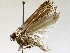  ( - BIOUG72964-H09)  @12 [ ] CreativeCommons - Attribution (2021) CBG Photography Group Centre for Biodiversity Genomics