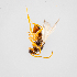  ( - GSBE22JUN2023a2)  @11 [ ] by-nc-nd (2024) Elijah Goodwin Stone Barns Center