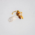  ( - GSBE22JUN2023a5)  @11 [ ] by-nc-nd (2024) Elijah Goodwin Stone Barns Center