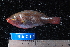  ( - NBE0067)  @11 [ ] No Rights Reserved  Unspecified Unspecified