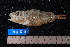  ( - NBE0080)  @13 [ ] No Rights Reserved  Unspecified Unspecified