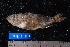  ( - NBE0081)  @14 [ ] No Rights Reserved  Unspecified Unspecified