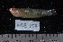  ( - NBE0157)  @13 [ ] No Rights Reserved  Unspecified Unspecified