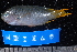  ( - NBE0249)  @12 [ ] No Rights Reserved  Unspecified Unspecified