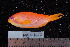 ( - NBE0407)  @11 [ ] No Rights Reserved  Unspecified Unspecified