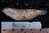  ( - NBE0418)  @13 [ ] No Rights Reserved  Unspecified Unspecified