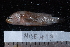  ( - NBE0419)  @13 [ ] No Rights Reserved  Unspecified Unspecified