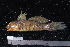  ( - NBE0457)  @14 [ ] No Rights Reserved  Unspecified Unspecified