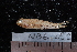  ( - NBE0482)  @13 [ ] No Rights Reserved  Unspecified Unspecified