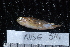  ( - NBE0514)  @12 [ ] No Rights Reserved  Unspecified Unspecified