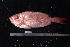  ( - NBE0541)  @12 [ ] No Rights Reserved  Unspecified Unspecified