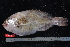  ( - NBE0664)  @13 [ ] No Rights Reserved  Unspecified Unspecified