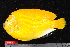  ( - NBE1101)  @13 [ ] No Rights Reserved  Unspecified Unspecified