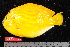  ( - NBE1102)  @13 [ ] No Rights Reserved  Unspecified Unspecified