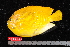  ( - NBE1103)  @11 [ ] No Rights Reserved  Unspecified Unspecified