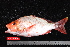  ( - NBE1112)  @13 [ ] No Rights Reserved  Unspecified Unspecified