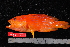  ( - NBE1120)  @11 [ ] No Rights Reserved  Unspecified Unspecified