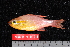  ( - NBE1218)  @13 [ ] No Rights Reserved  Unspecified Unspecified