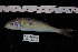  ( - REU012_1)  @11 [ ] No Rights Reserved  Unspecified Unspecified