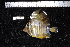  ( - REU0296)  @13 [ ] No Rights Reserved  Unspecified Unspecified