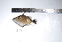  ( - REU0701)  @11 [ ] No Rights Reserved  Unspecified Unspecified