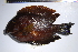  ( - REU0763)  @12 [ ] No Rights Reserved  Unspecified Unspecified
