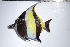  ( - REU0764)  @11 [ ] No Rights Reserved  Unspecified Unspecified