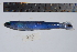  ( - REU0782)  @12 [ ] No Rights Reserved  Unspecified Unspecified
