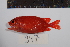  (Plectrypops - REU0947)  @14 [ ] No Rights Reserved  Unspecified Unspecified