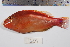  ( - REU1001)  @11 [ ] No Rights Reserved  Unspecified Unspecified