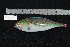  ( - REU145_2)  @13 [ ] No Rights Reserved  Unspecified Unspecified
