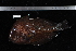  ( - REU1615)  @12 [ ] No Rights Reserved  Unspecified Unspecified
