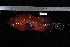  ( - REU1620)  @12 [ ] No Rights Reserved  Unspecified Unspecified