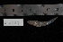  ( - REU1624)  @13 [ ] No Rights Reserved  Unspecified Unspecified