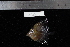 ( - REU1661)  @12 [ ] No Rights Reserved  Unspecified Unspecified
