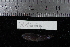  ( - REU1664)  @12 [ ] No Rights Reserved  Unspecified Unspecified