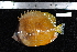  ( - REU1694)  @11 [ ] No Rights Reserved  Unspecified Unspecified