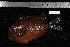  ( - REU1705)  @12 [ ] No Rights Reserved  Unspecified Unspecified