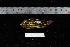  ( - REU1808)  @13 [ ] No Rights Reserved  Unspecified Unspecified