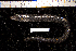  ( - REU1876)  @12 [ ] No Rights Reserved  Unspecified Unspecified