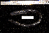  ( - REU1877)  @12 [ ] No Rights Reserved  Unspecified Unspecified