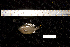  ( - REU1910)  @12 [ ] No Rights Reserved  Unspecified Unspecified