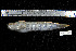  ( - REU2569)  @14 [ ] No Rights Reserved  Unspecified Unspecified